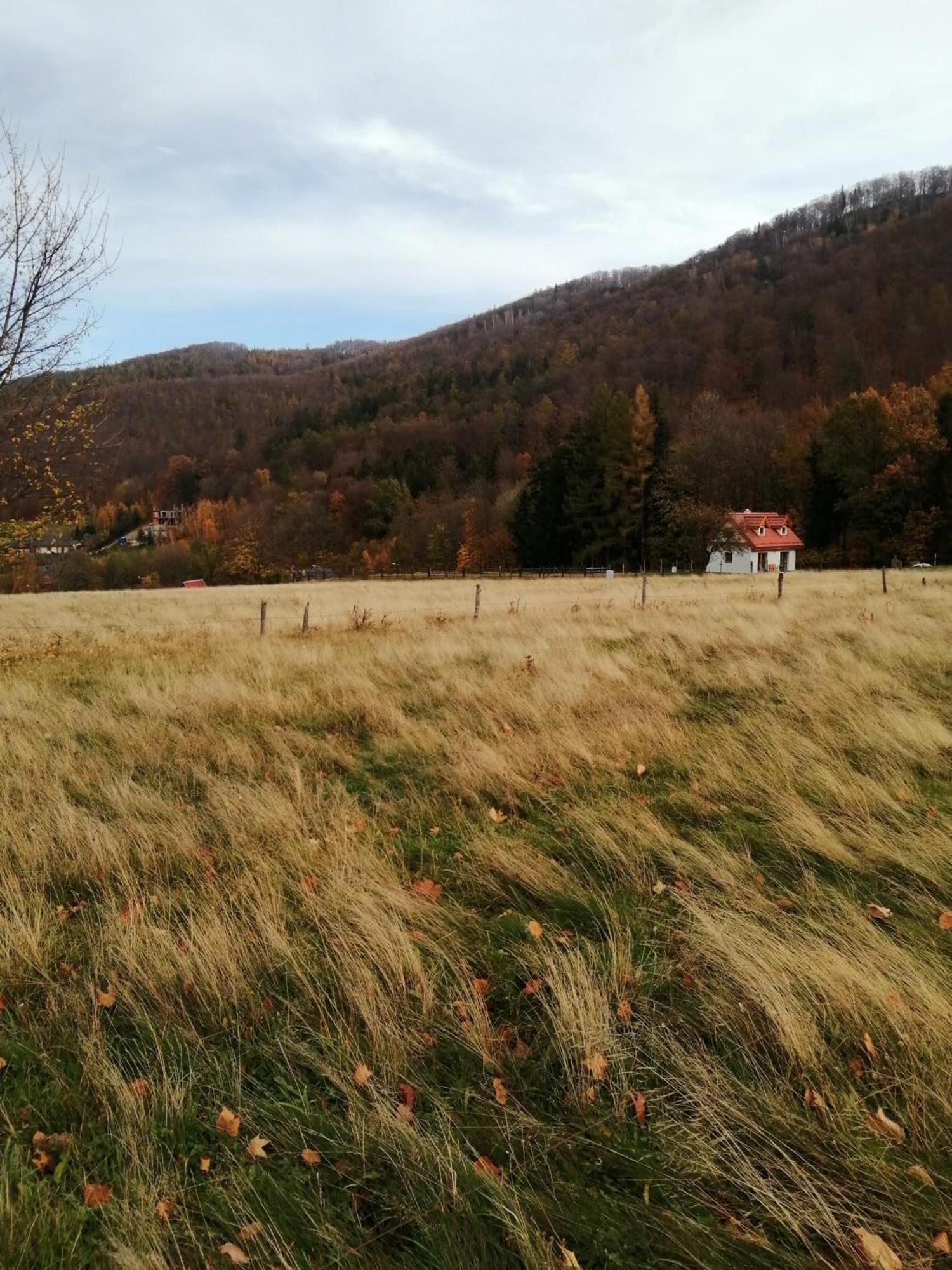 Domek W Gorach Sowich Pieszyce Exterior foto